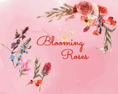 blooming roses